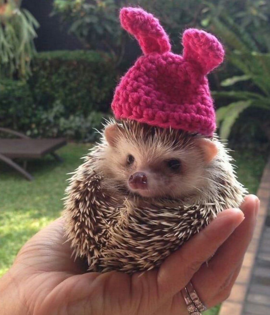 Шапочка "Ёжик"