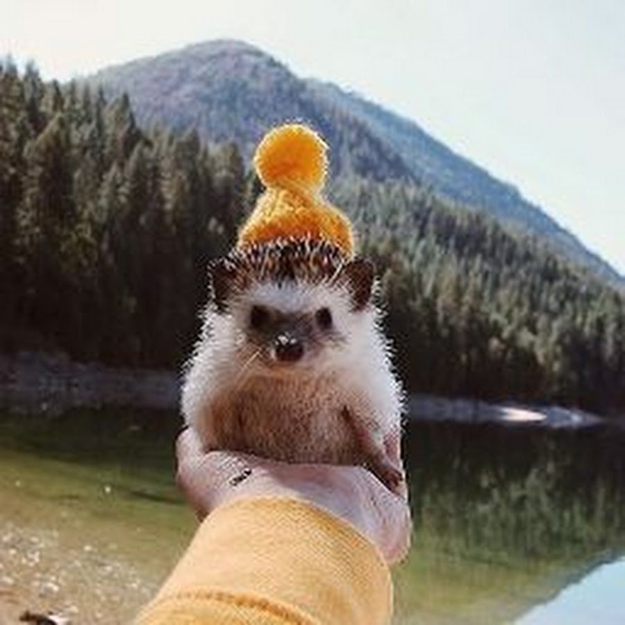 Картинки на аватарку прикольные позитивные милые