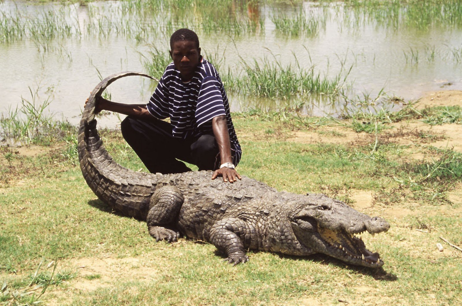 Крокодил: Властелин африканских рек. 2002.