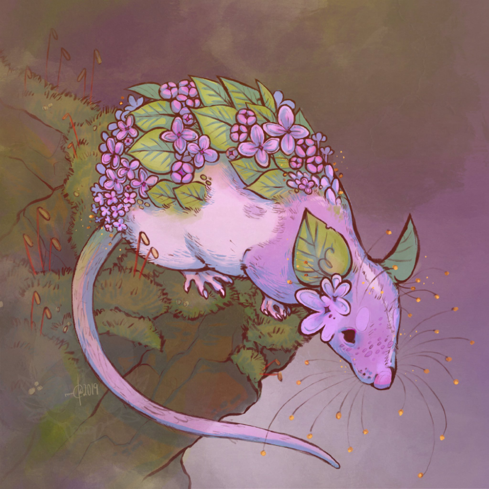 Самая умная крыса порода