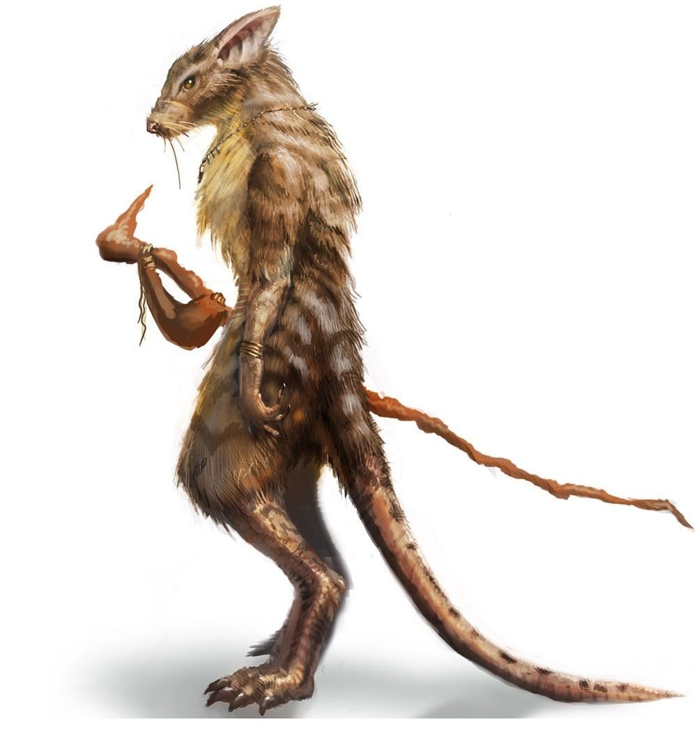 Скавены рогатая крыса