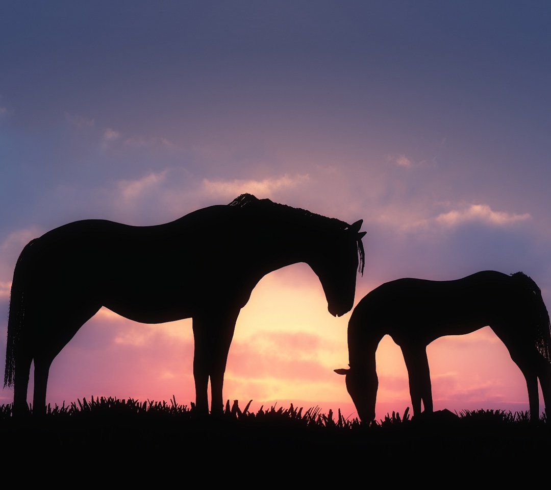 Лошадь с жеребенком на закате