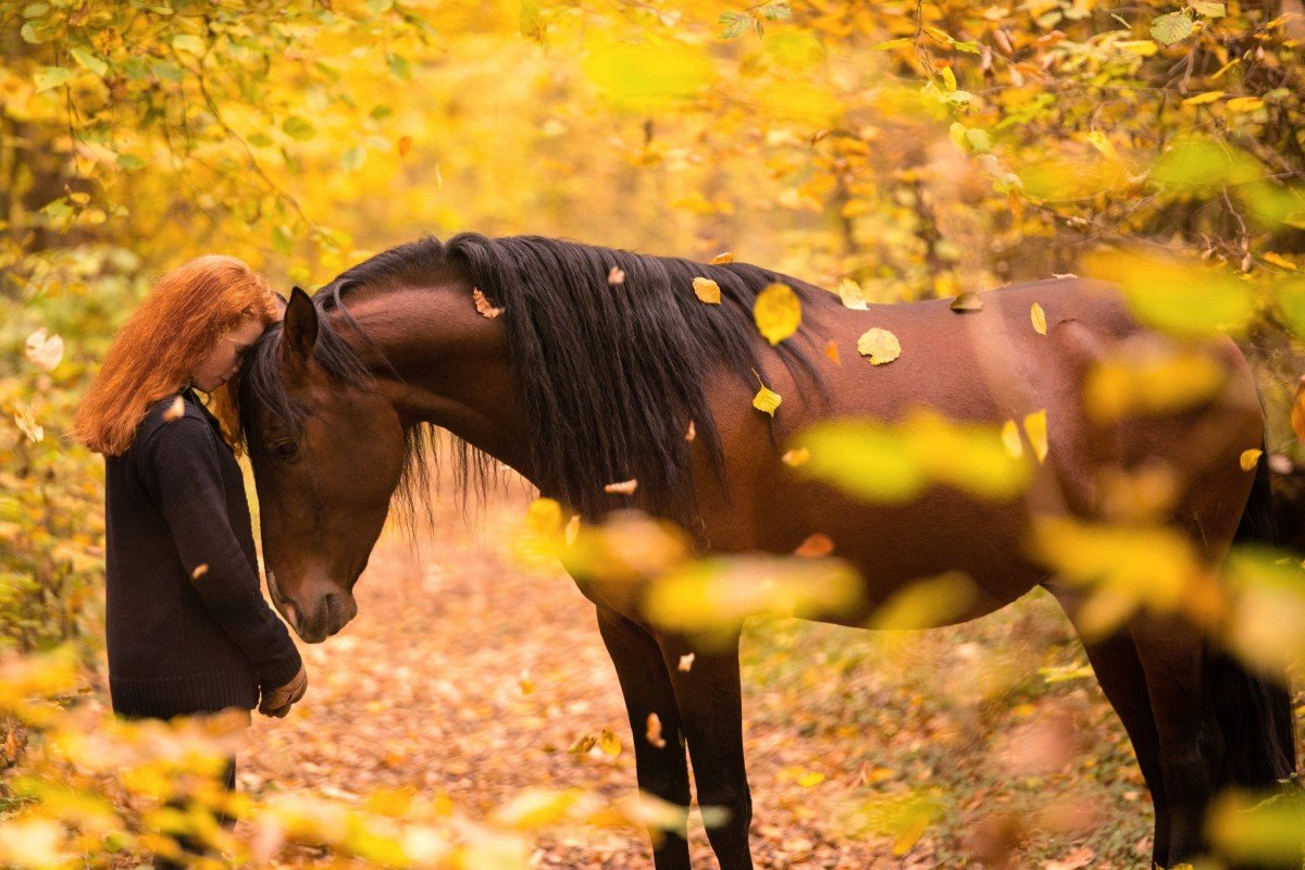 Осенняя фотосессия с лошадью