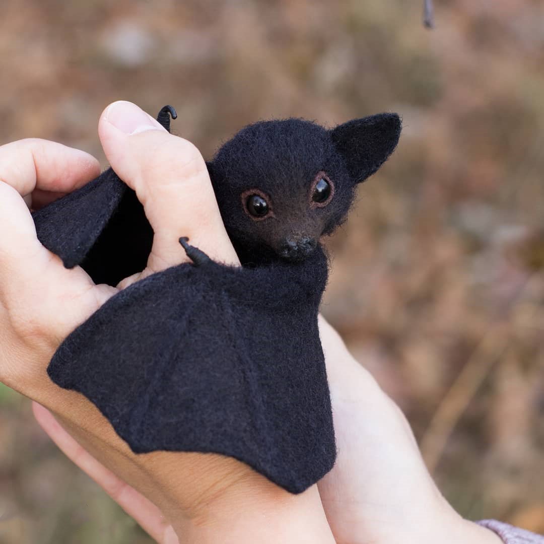 Карликовый крылан