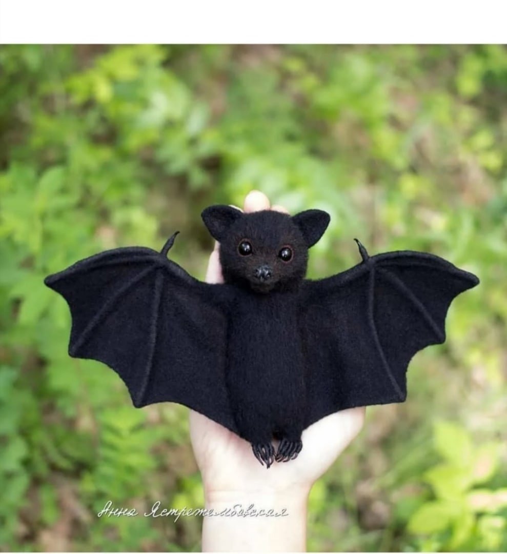 Летучая мышь фруктоед