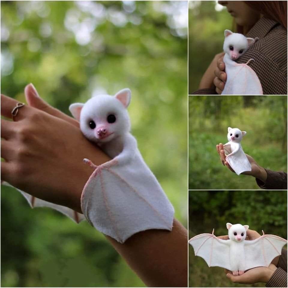 Крылан летучая лисица