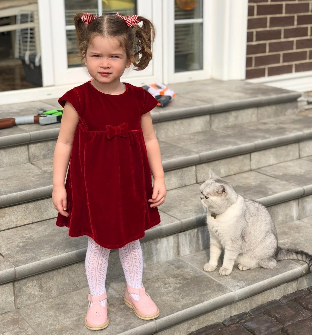 Кот шанти Бородиной