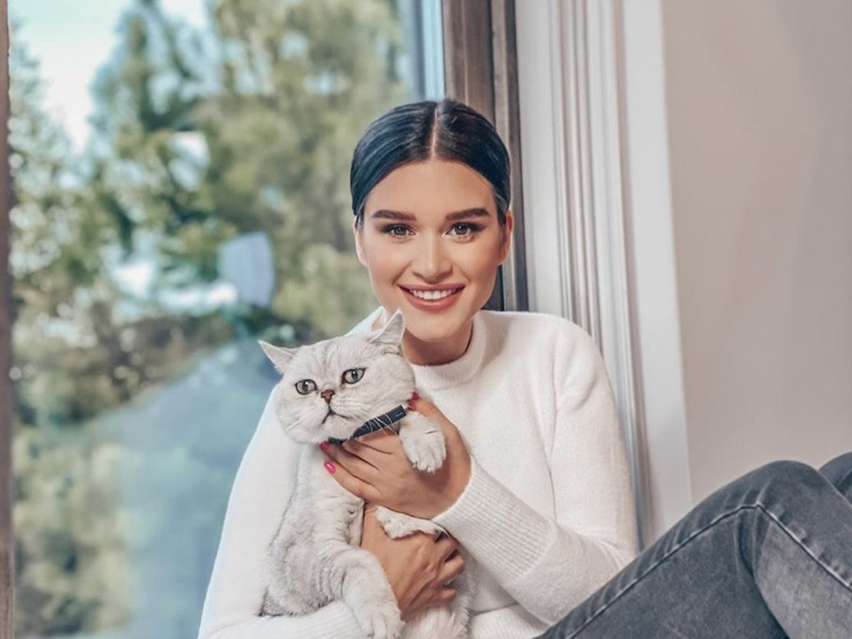 Кошка шанти Ксении Бородиной