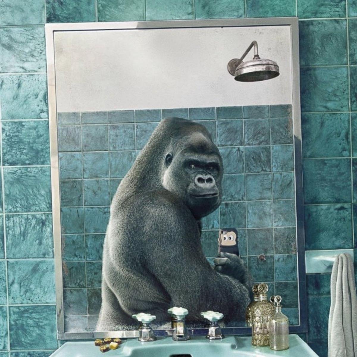 Кунац меймун