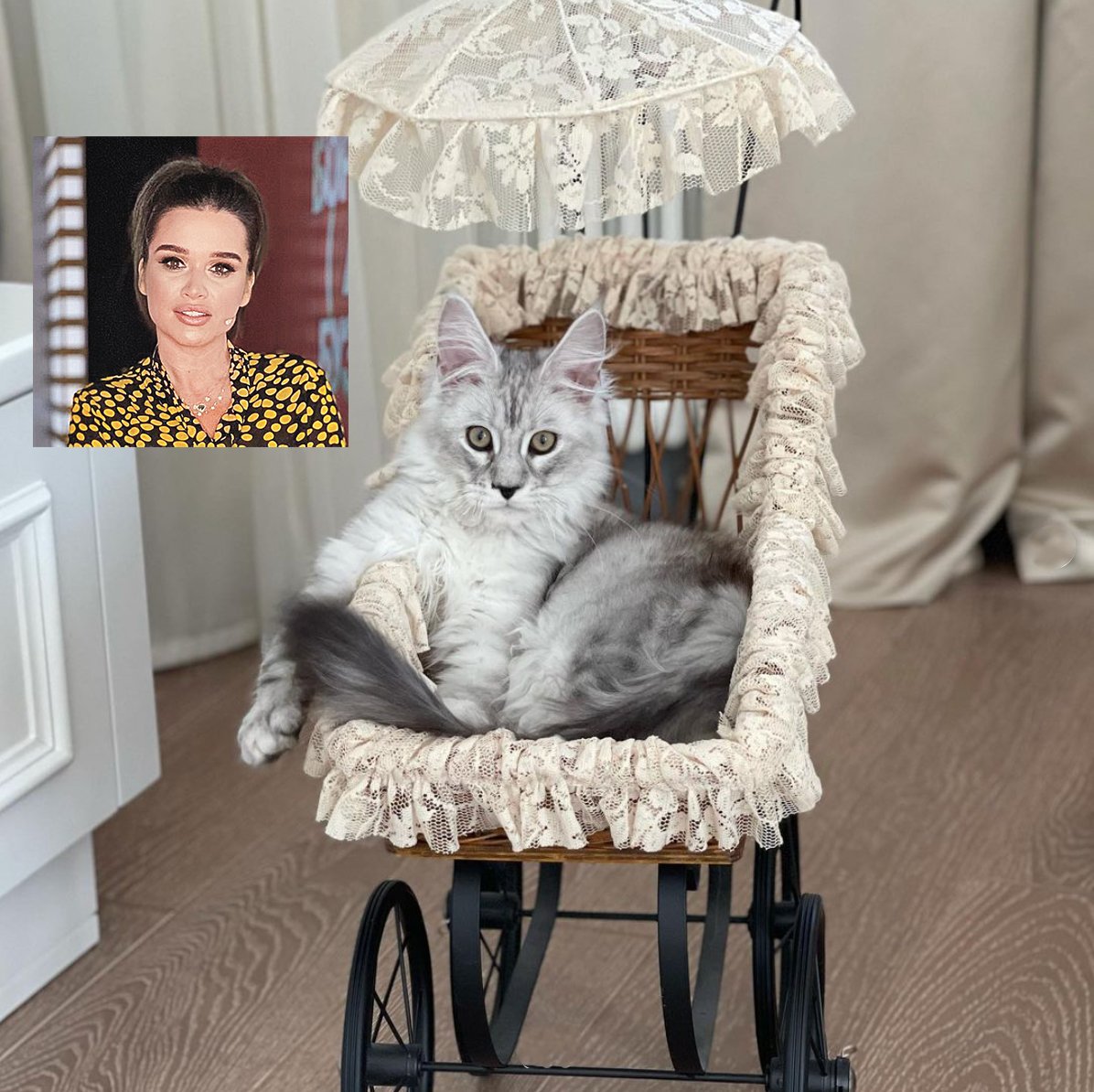 Мейн кун Ксении Бородиной