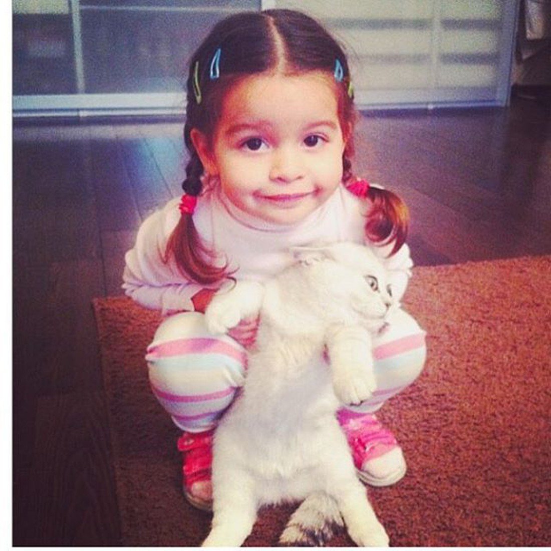 Кот Ксении Бородиной шанти