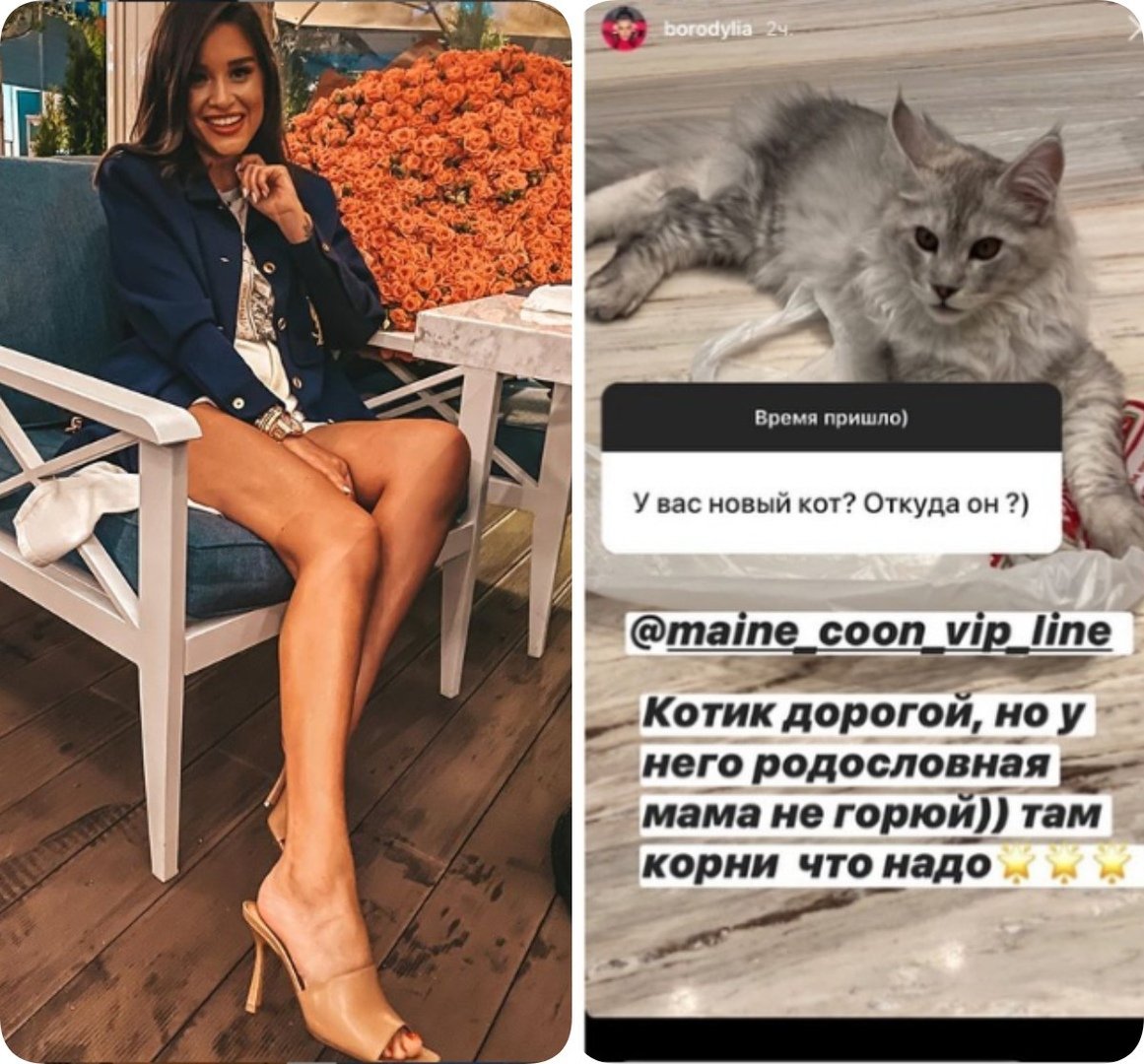 Мейн кун Ксении Бородиной