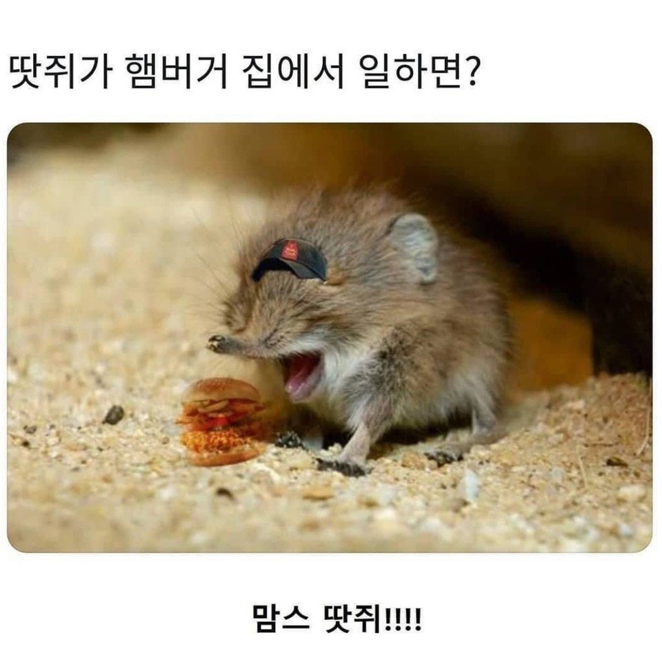 Землеройка анимация