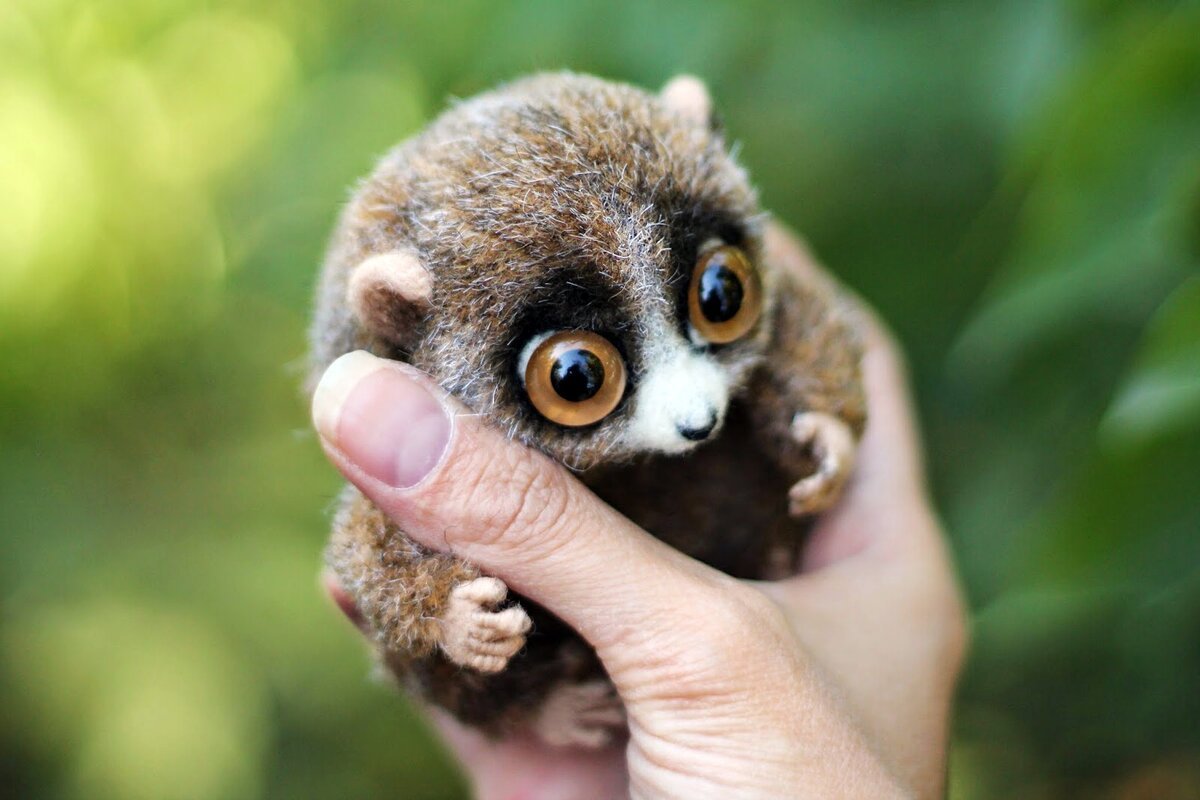 Милое животное с большими глазами