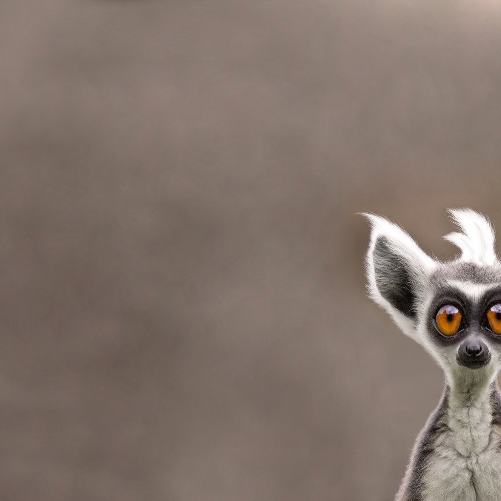 Лемур с сигаретой