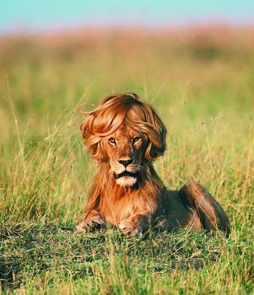 Яшечкина Таисия