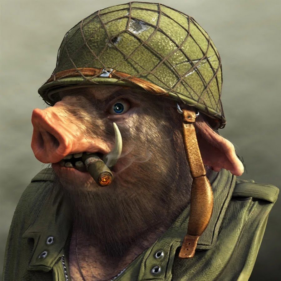 Поросенок в военной форме