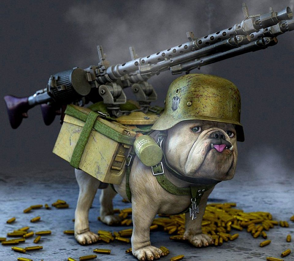 Пушка для собак