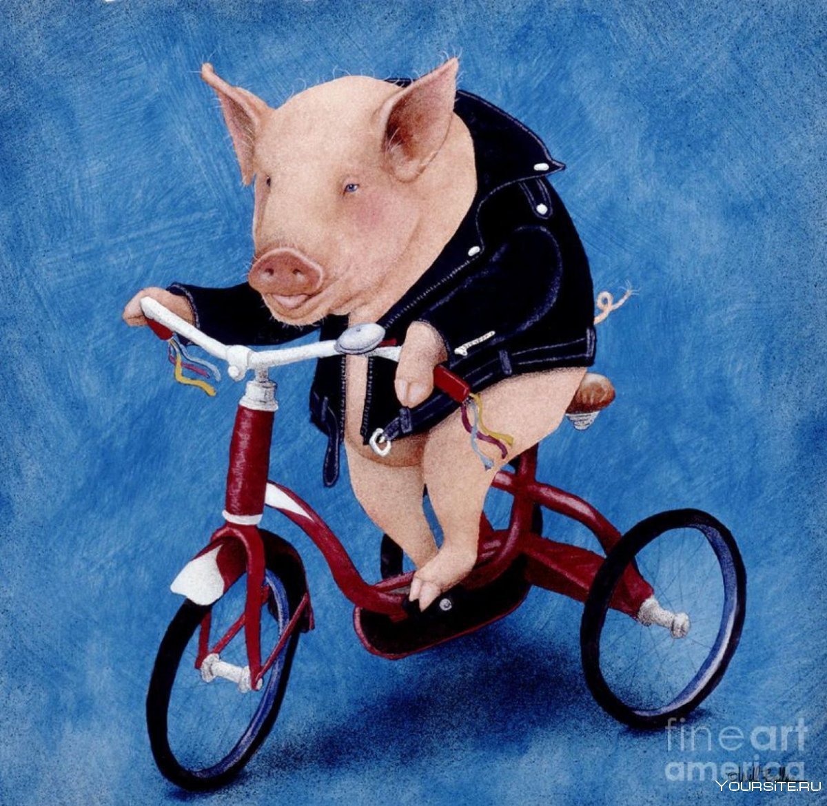 Свинья на велосипеде