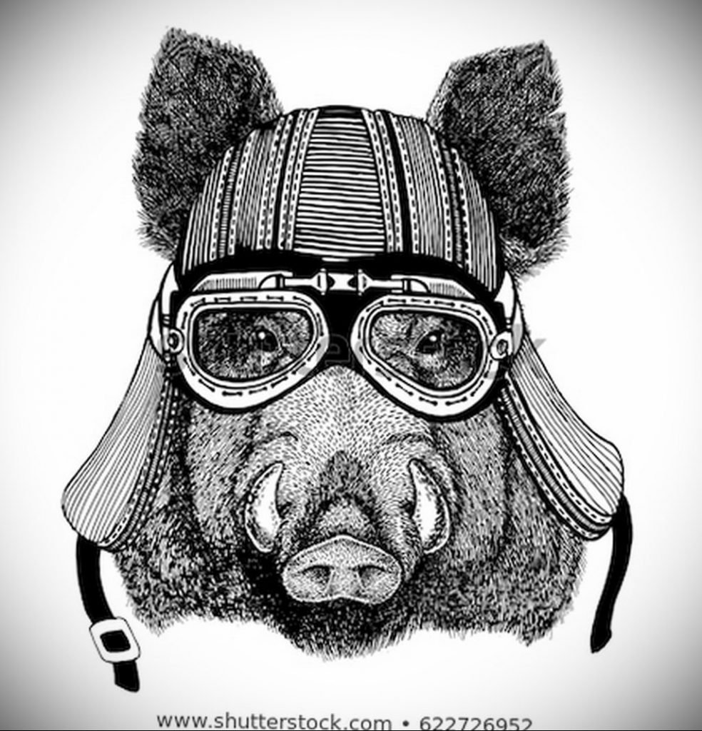 Кабан в каске