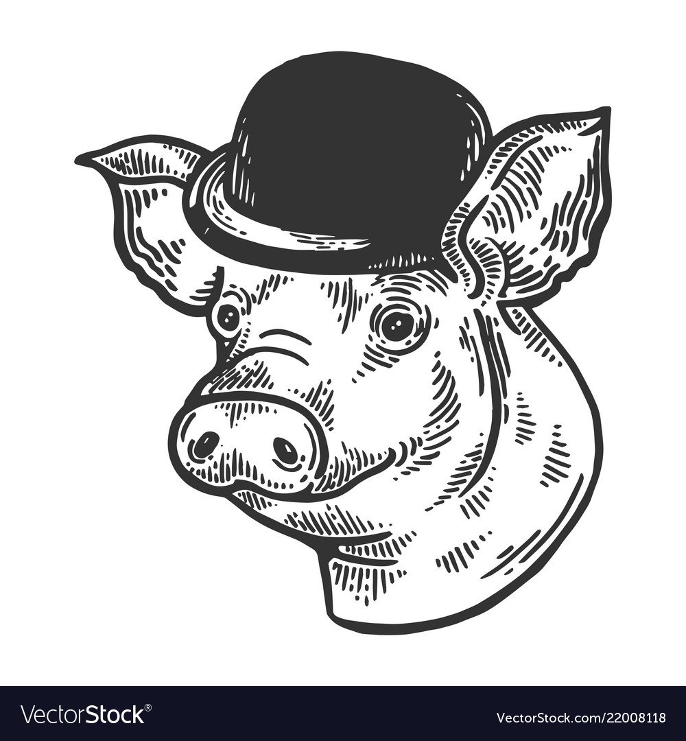 Свинья в шлеме