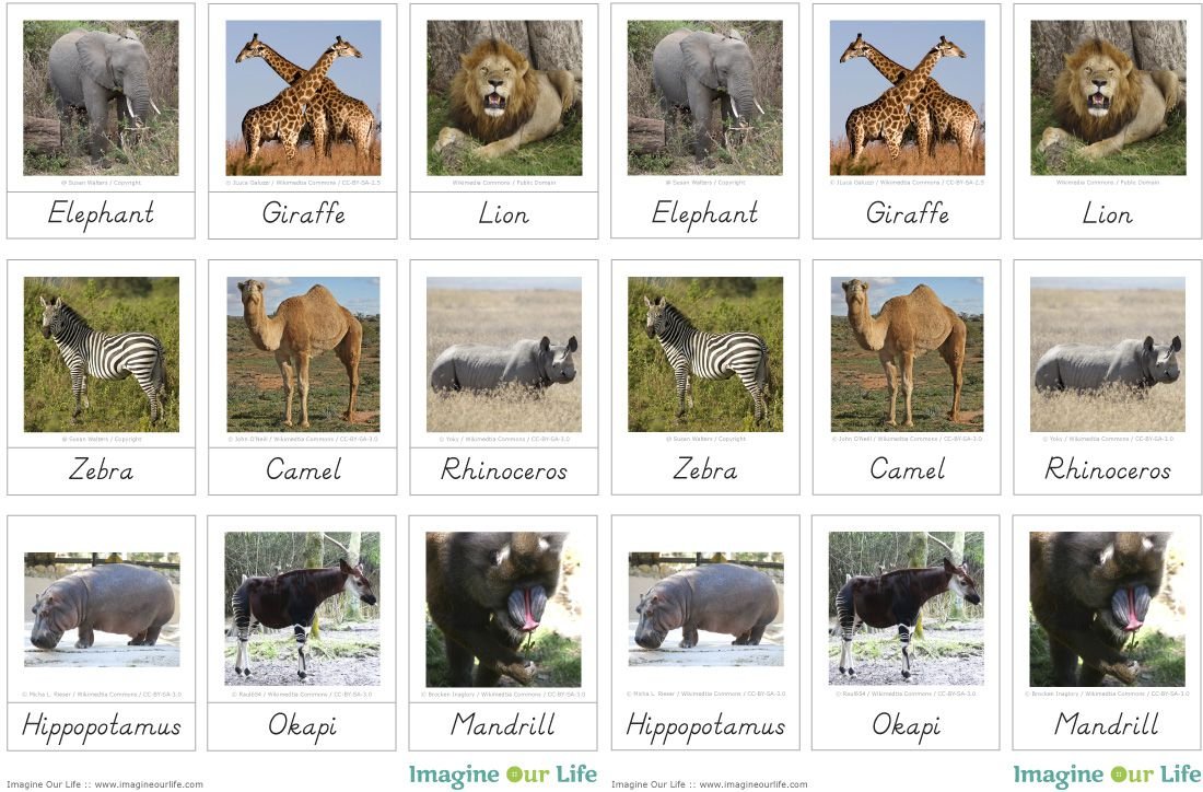 Список животных Африки