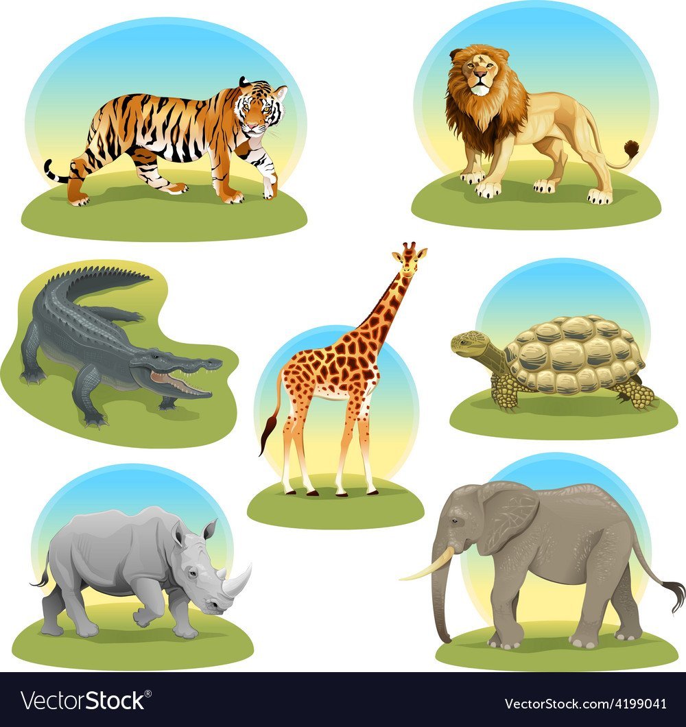 Травоядные и плотоядные животные для детей