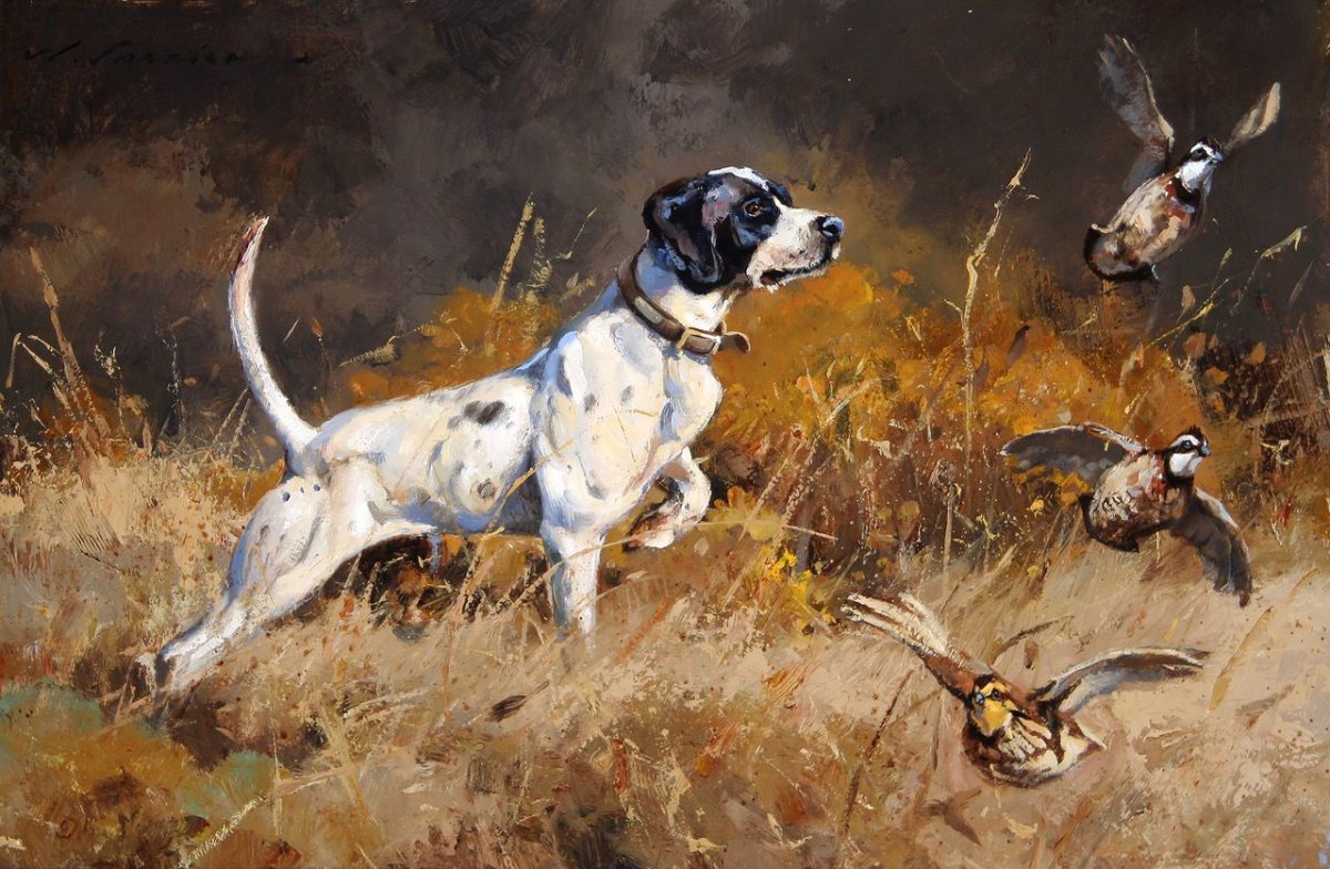 Ищейка бладхаунд (гончая)