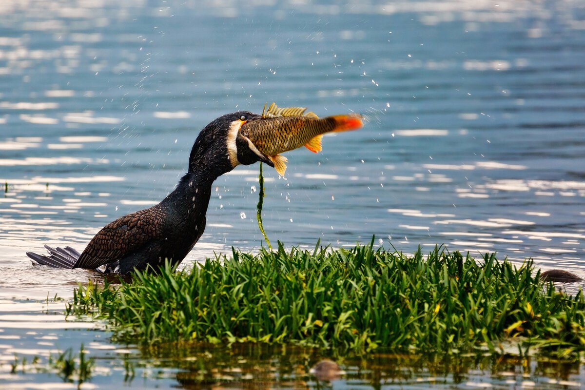 Погода на мысе Кюренниеми