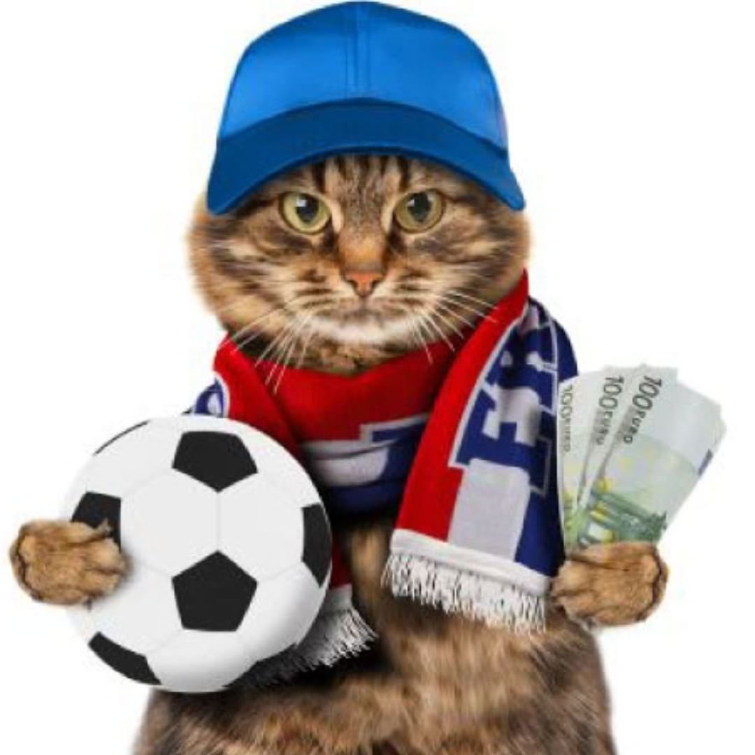 Котик с обручем