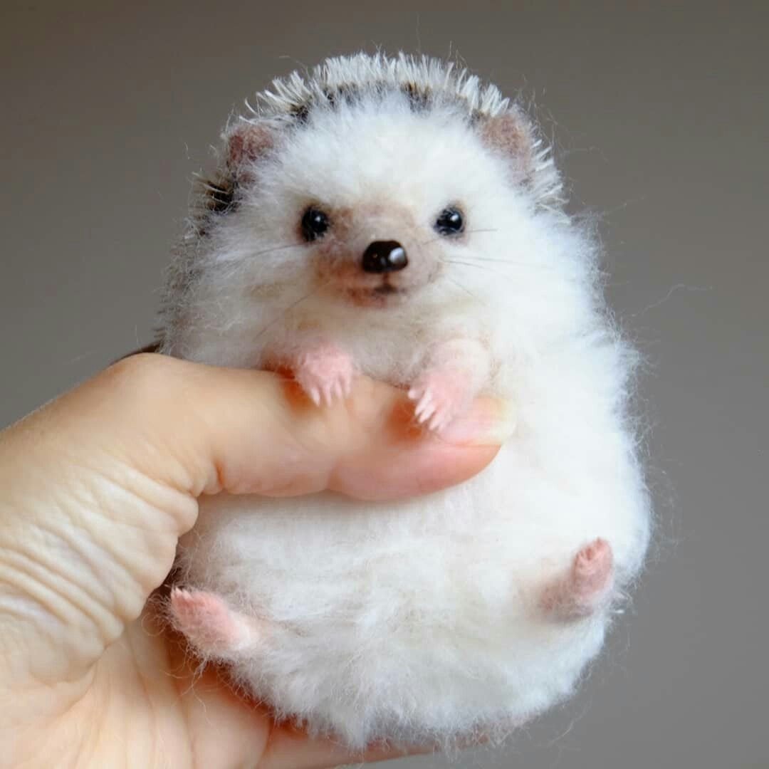 Маленький пушистый зверек