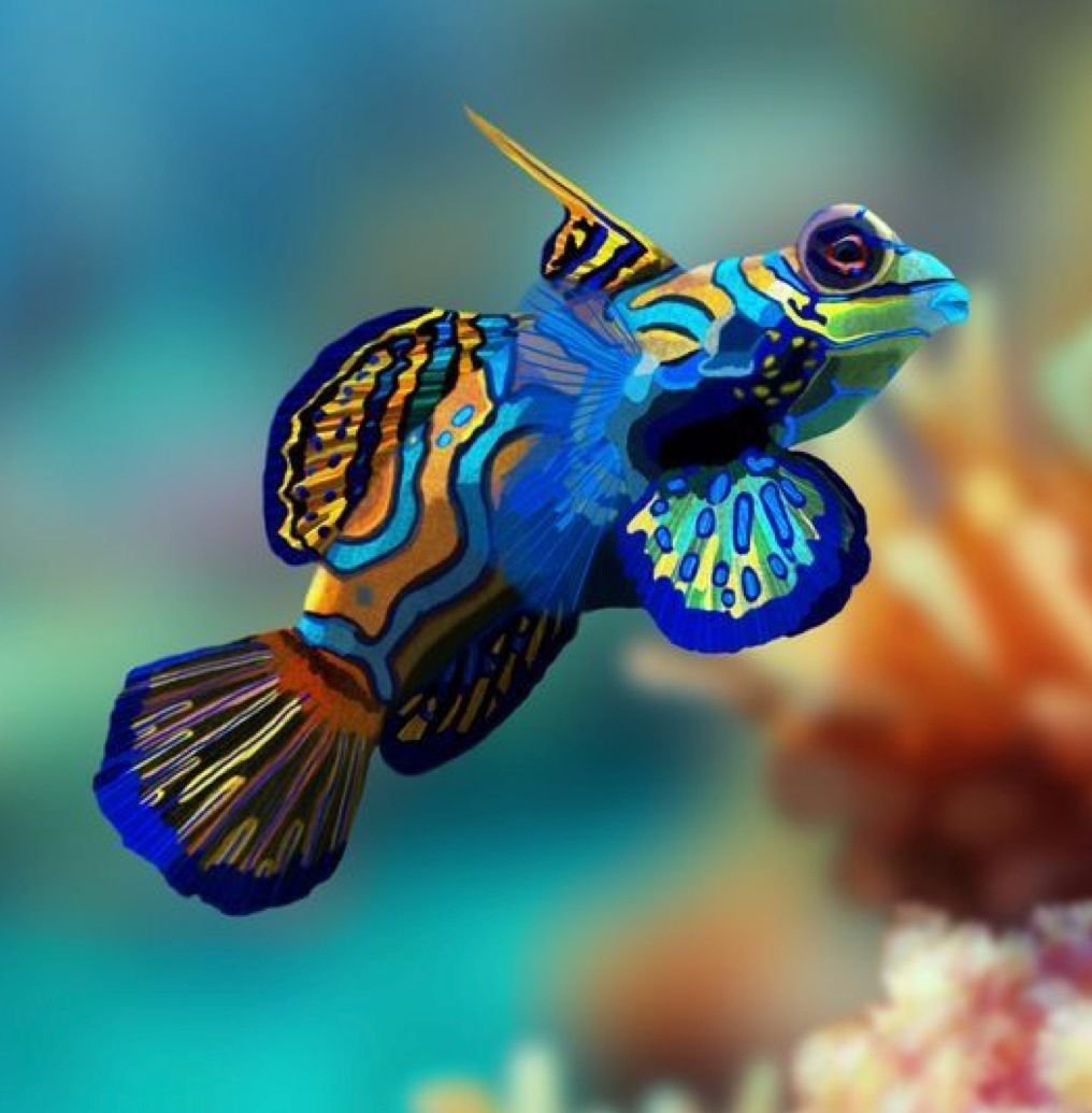 Аквариумная рыбка Мандаринка