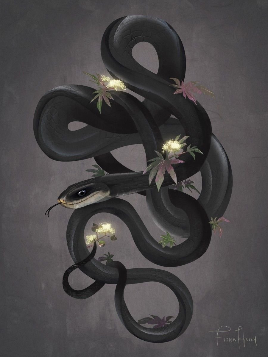 Королевская Кобра мамба