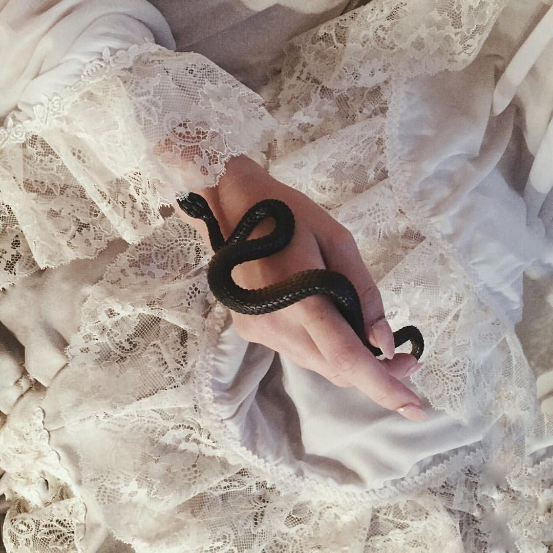 Черная змея в белую крапинку