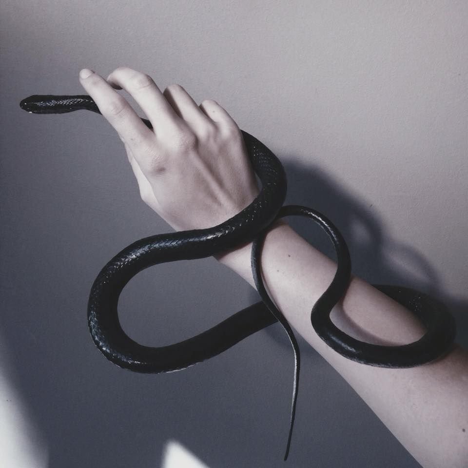 Черная мамба Эстетика