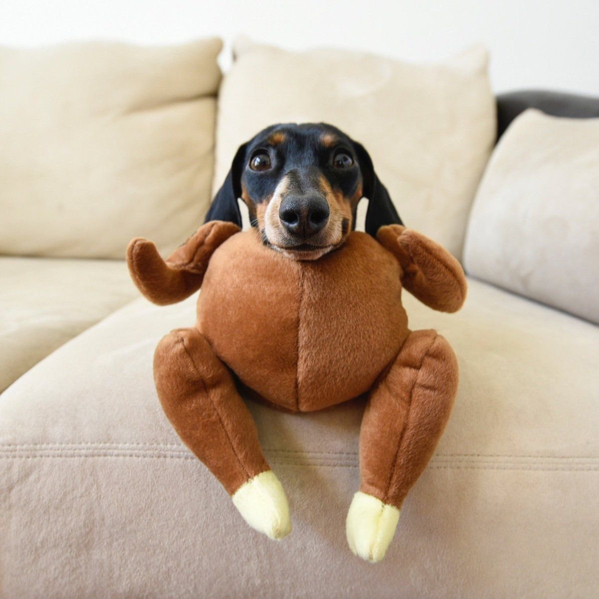 Пятнистая такса