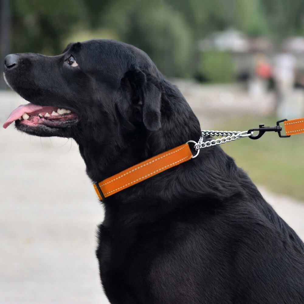 Ошейник коллар для средних собак