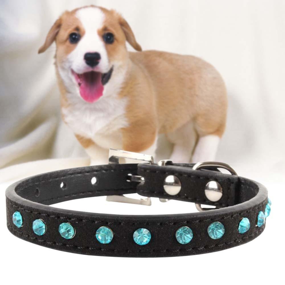 Упряжка доберманов