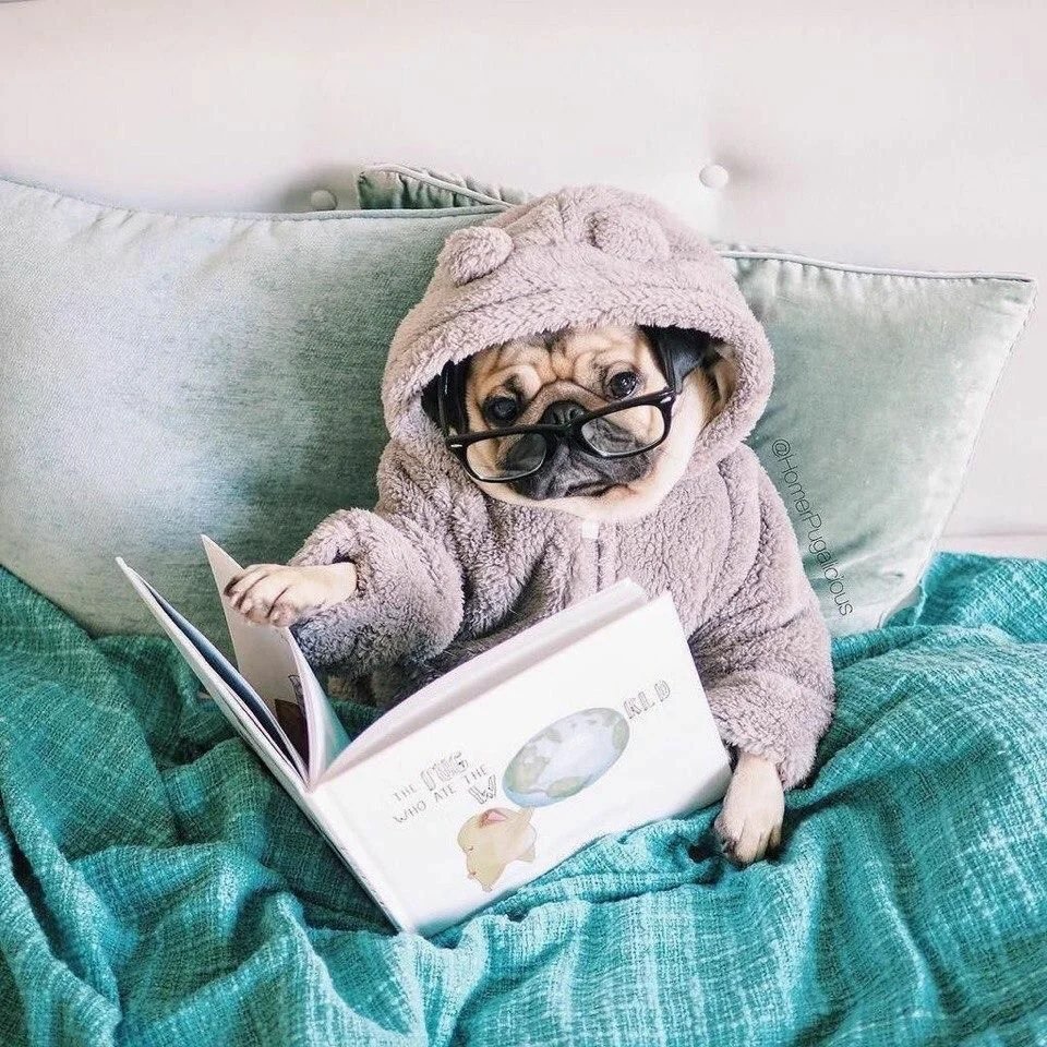 Доброе утро путешественники