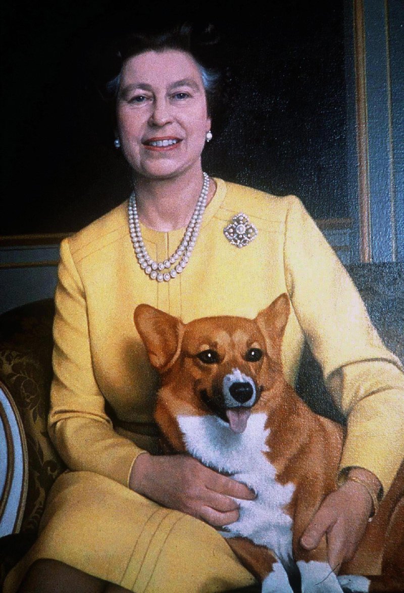 Корги Елизаветы 2