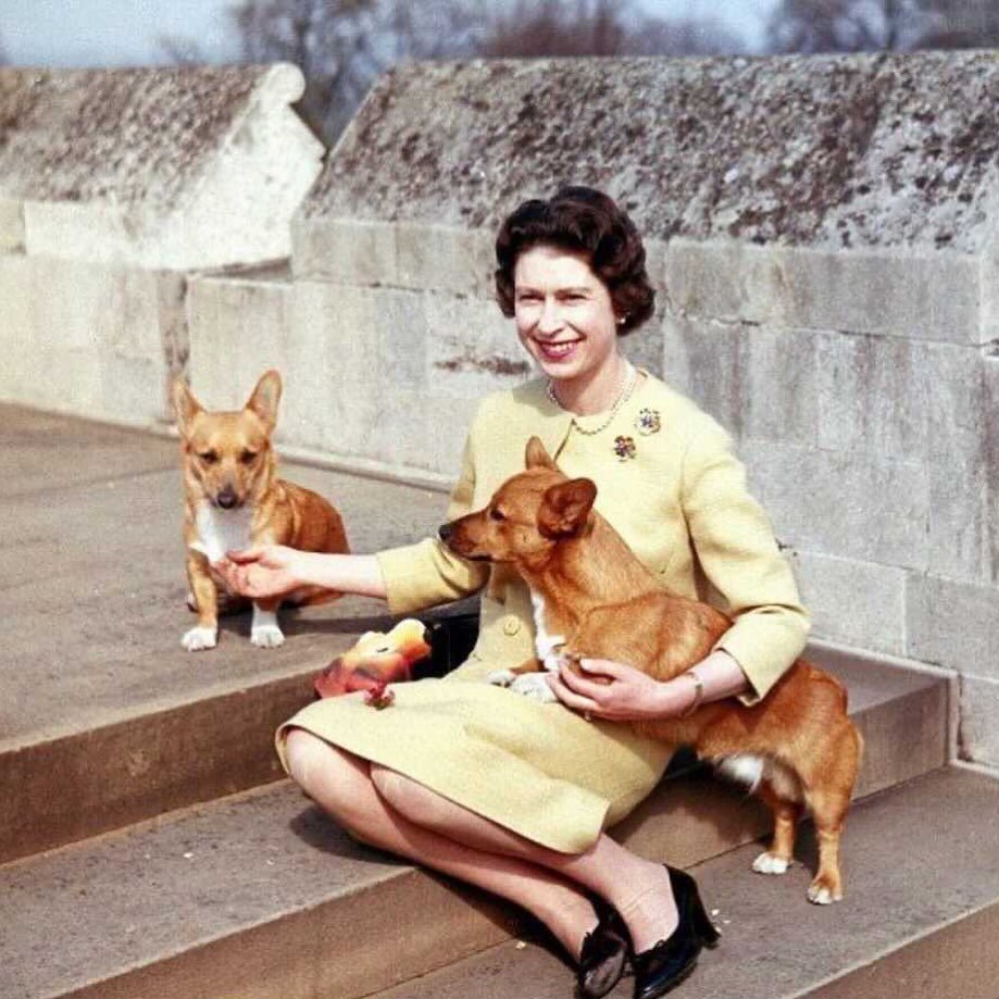 Корги принцессы Маргарет