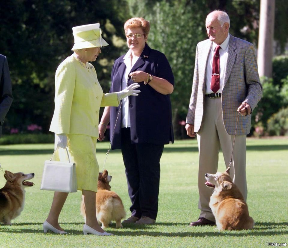 Королева Англии Елизавета и корги