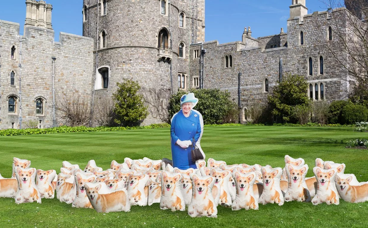 Королевские корги Елизаветы 2