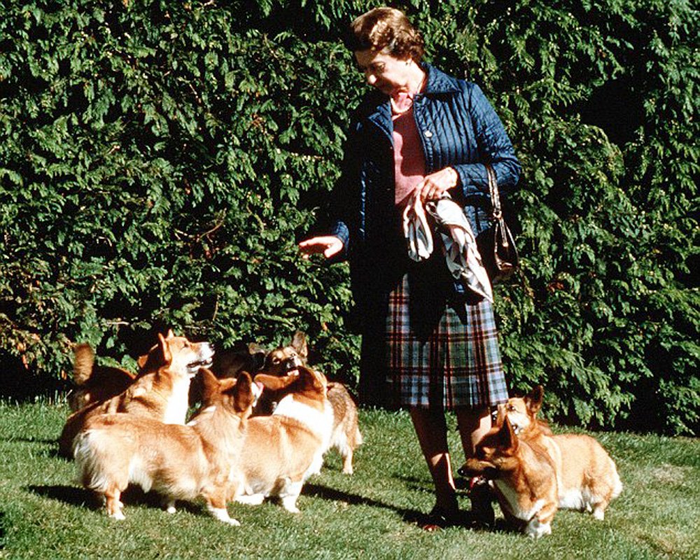 Королева Англии Елизавета и корги