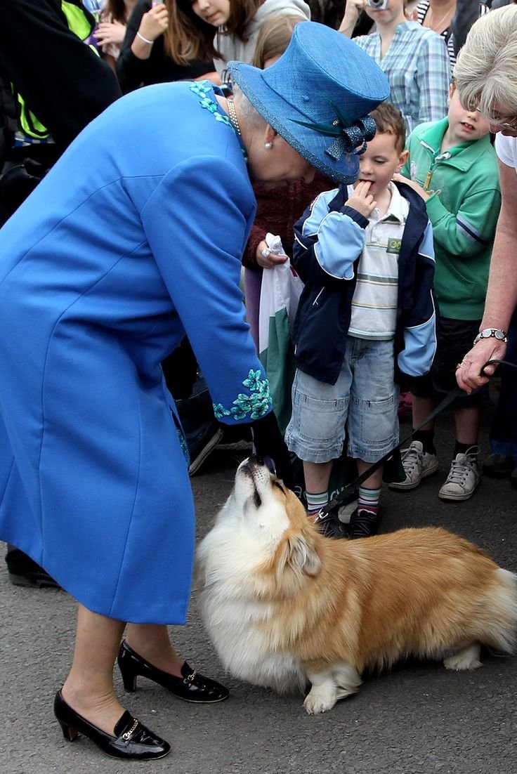 Корги королевы Елизаветы 2