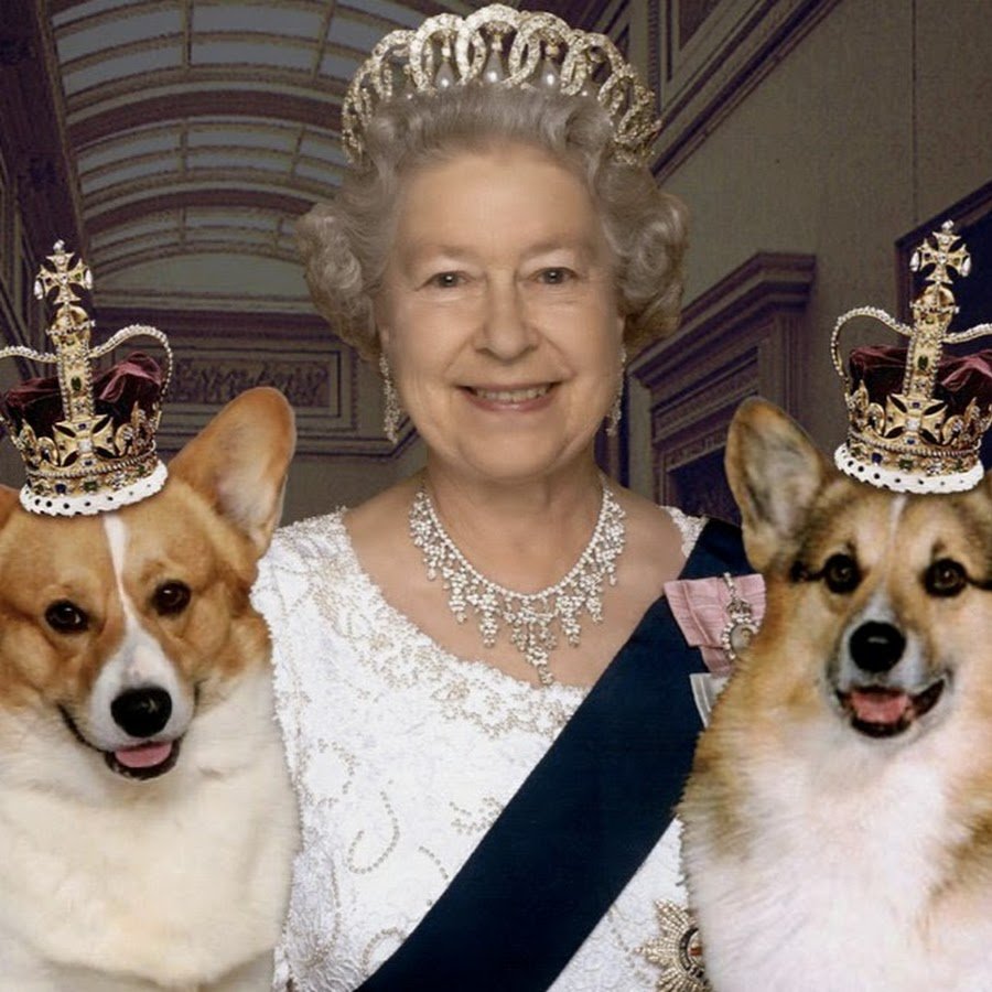 Вельш корги Елизаветы 2