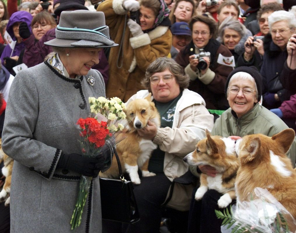 Корги королевы Великобритании Елизаветы