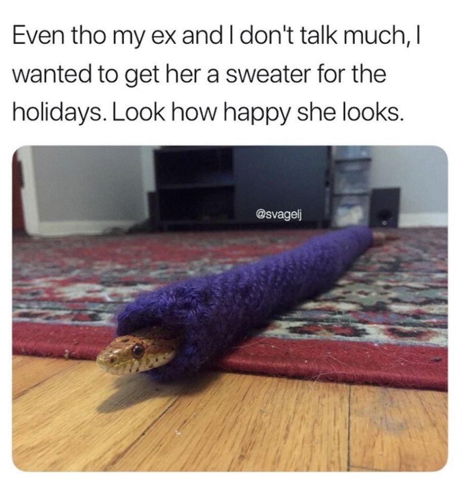 Змея с шерстью