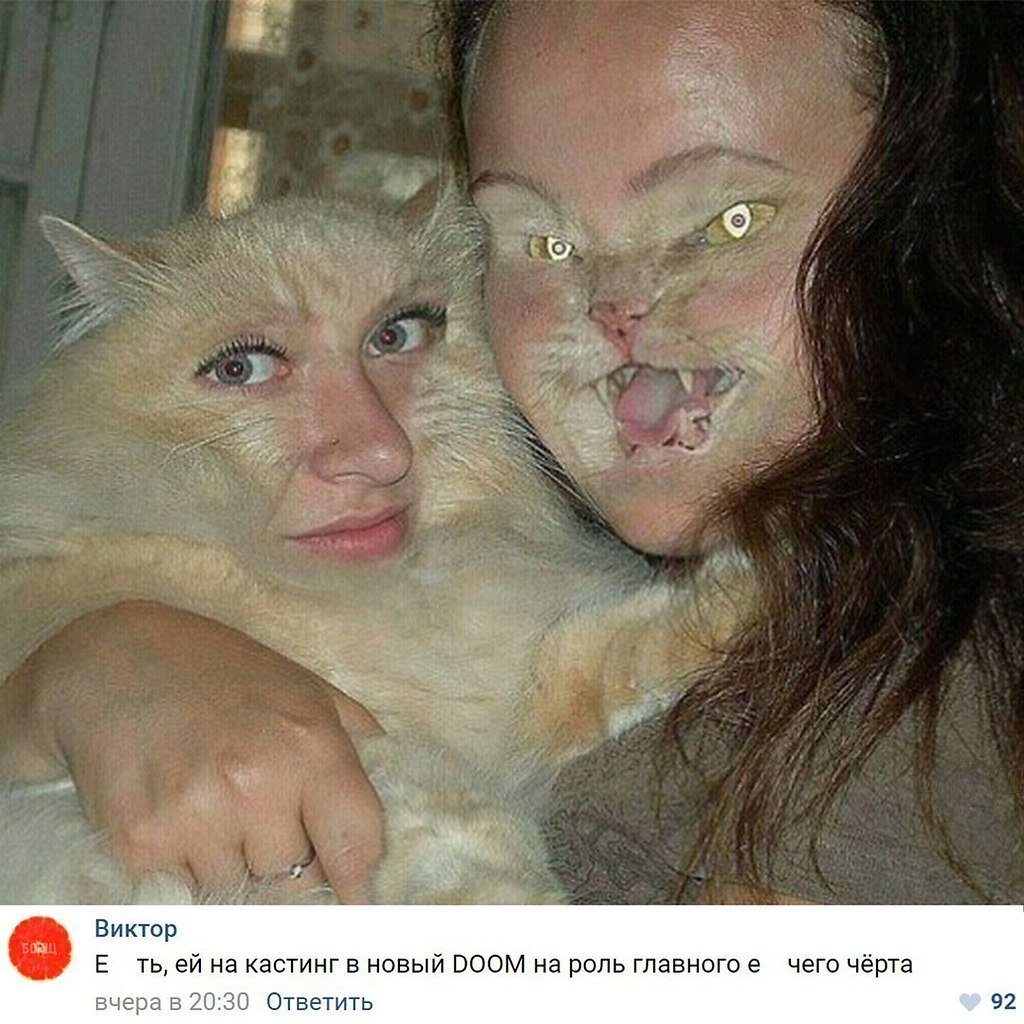 Кот в носке