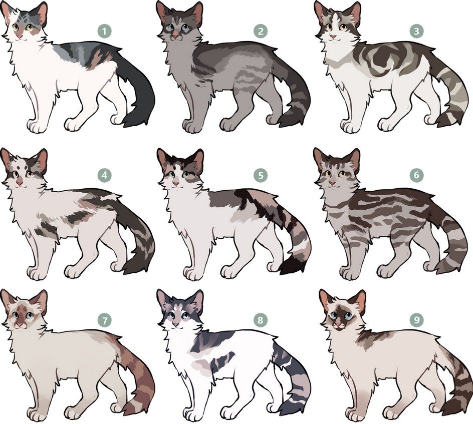 Коты Воители окрасы
